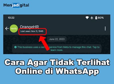 Cara Agar Tidak Terlihat Online di WhatsApp