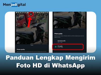 Panduan Lengkap Mengirim Foto HD di WhatsApp